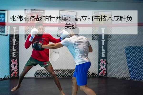 张伟丽备战帕特西奥：站立打击技术成胜负关键