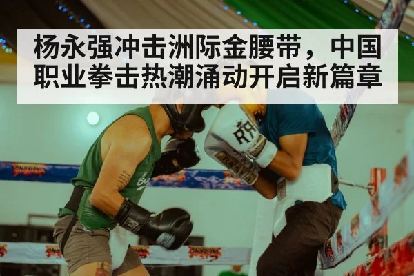 杨永强冲击洲际金腰带,中国职业拳击热潮涌动开启新篇章